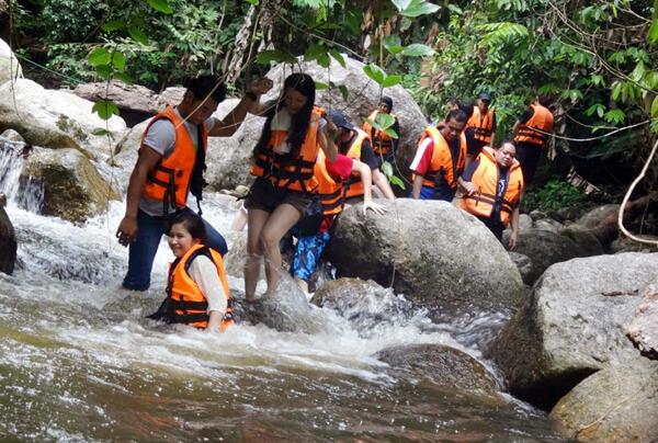 Jungle Trekking Jungle Trekking